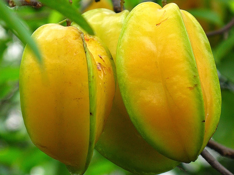 Mẹo chữa gai cột sống nhờ 4 loại trái cây quen thuộc 3