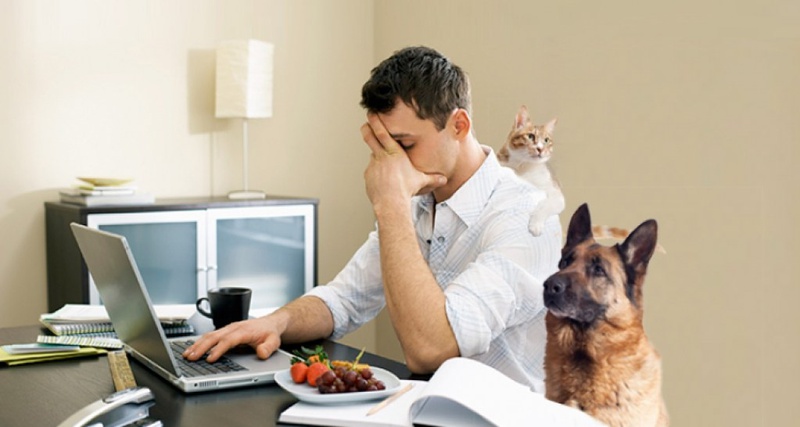 Mẹo dùng dầu thầu dầu trị khô mắt an toàn mà hiệu quả 2