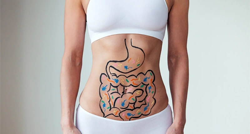Mối liên hệ giữa sức khoẻ đường ruột và não bộ là gì? 2