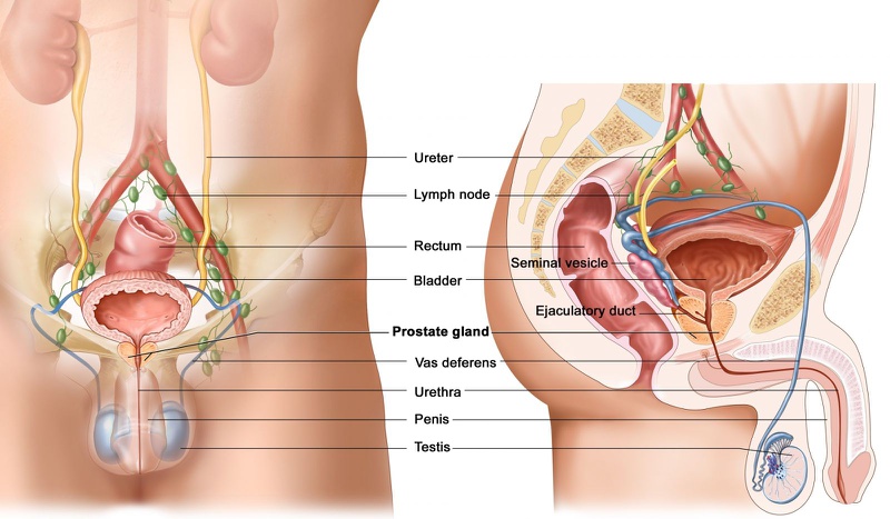 Mối quan tâm về bảo tồn khả năng sinh sản ở nam giới1