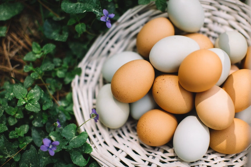 Mỗi sáng ăn 1 quả trứng gà có tốt không?1