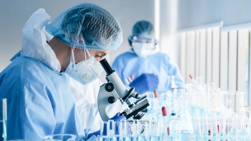Một bước tiến mới trong việc tìm kiếm các chất thay thế chất béo trong thực phẩm 2