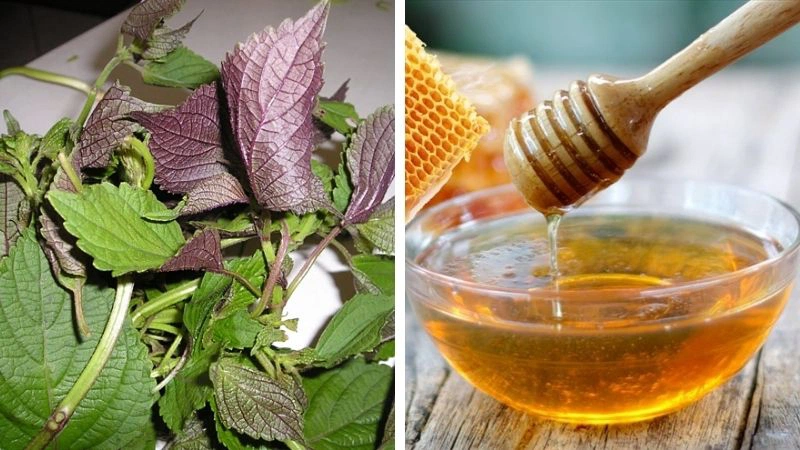 Cách làm trắng da mặt bằng lá tía tô và mật ong 