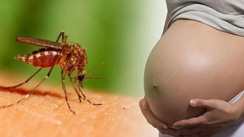 Một số loại kem chống muỗi cho bà bầu 1