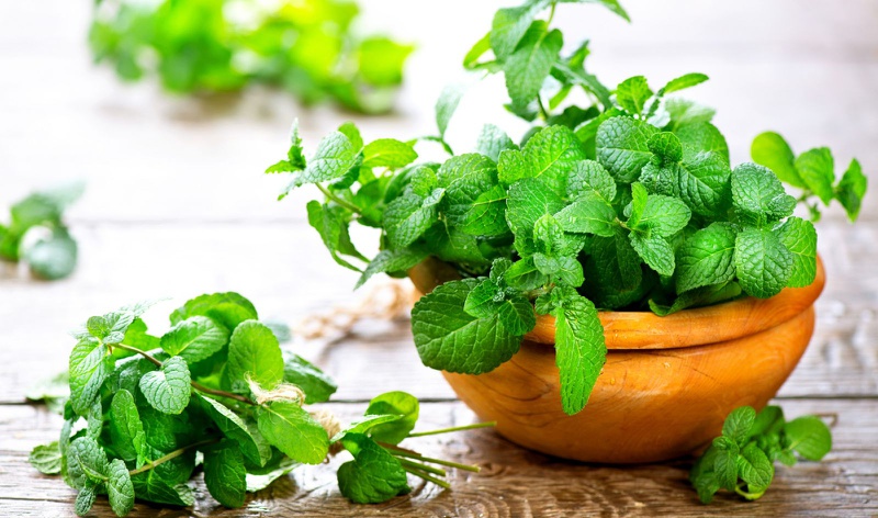 Muôn vàn cách bổ phế giảm ho từ các loại thảo dược thiên nhiên