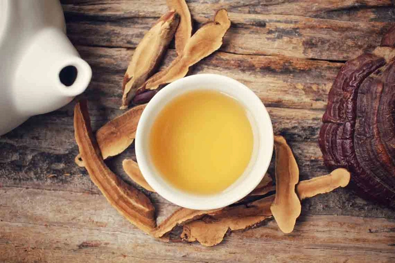 Nấm linh chi bà bầu uống được không 3