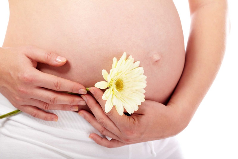 Nấm linh chi bà bầu uống được không  1
