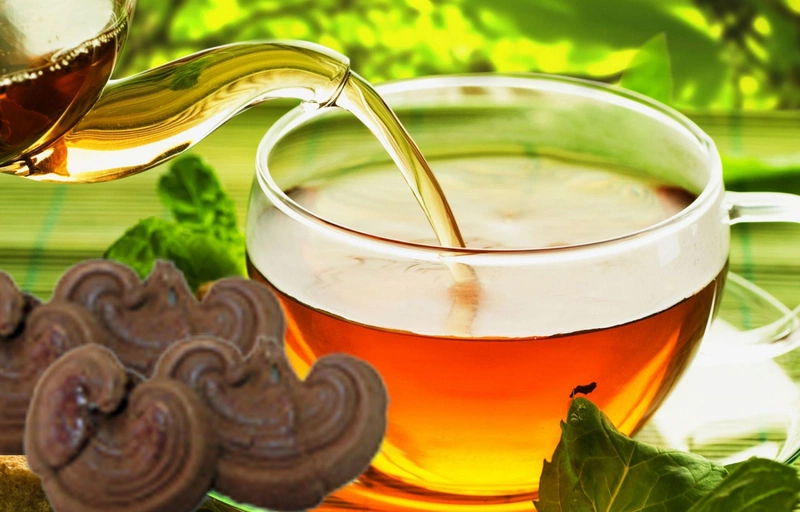 Nấm linh chi rừng có tác dụng gì? 3
