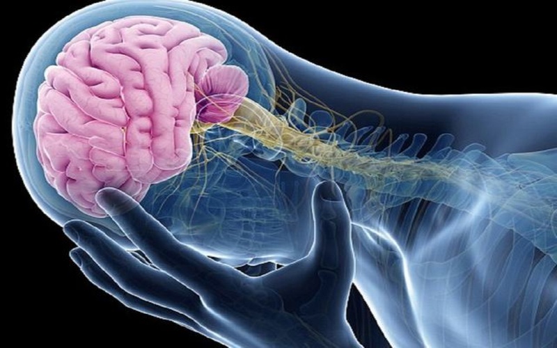Não úng thủy ở trẻ em là gì? Não úng thủy có chữa được không? Cách phòng tránh não úng thủy 2