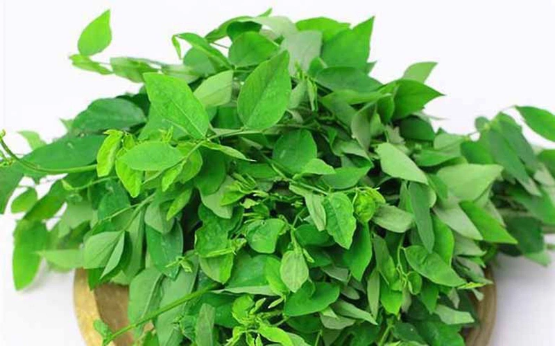 Ăn gì để diệt tinh trùng sau khi quan hệ: rau ngót