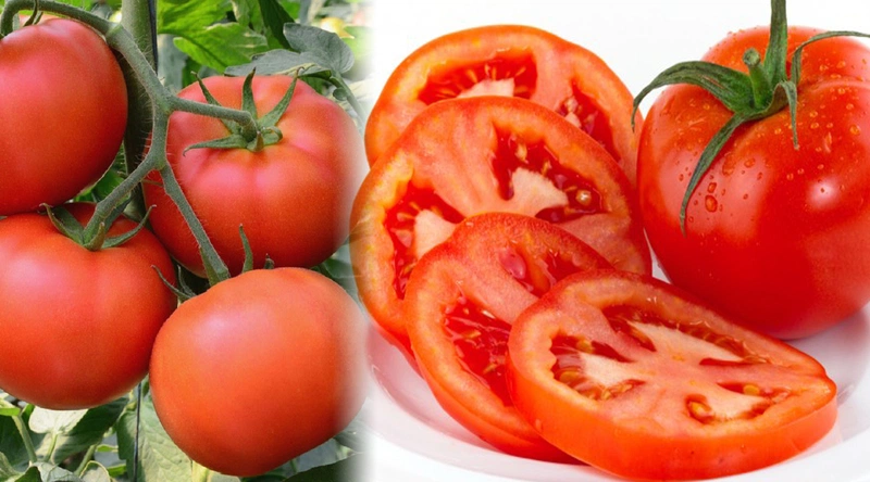 Nên ăn gì để nhiều sữa mà không tăng cân? Lợi ích của sữa mẹ đối với em bé 4