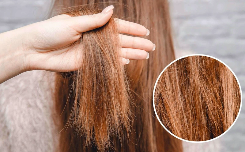 8 dầu dưỡng tóc giúp phục hồi hư tổn thơm lâu được ưa chuộng