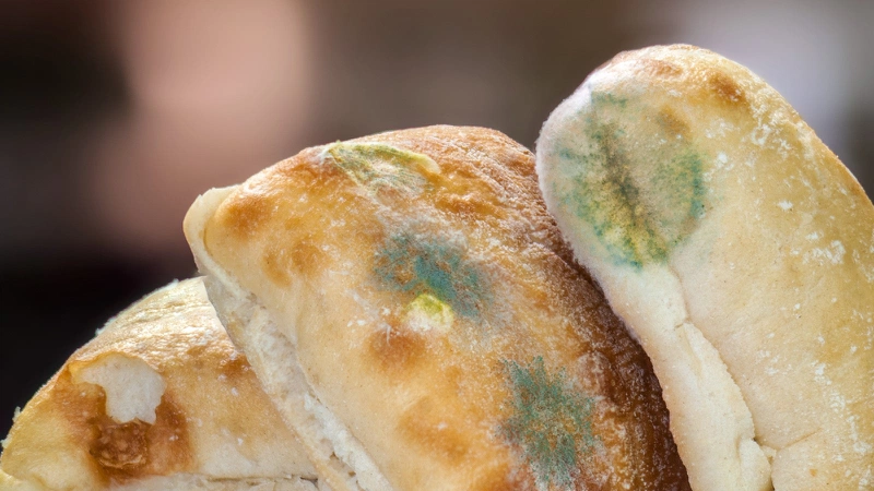 Ăn bánh mì mốc có sao không?