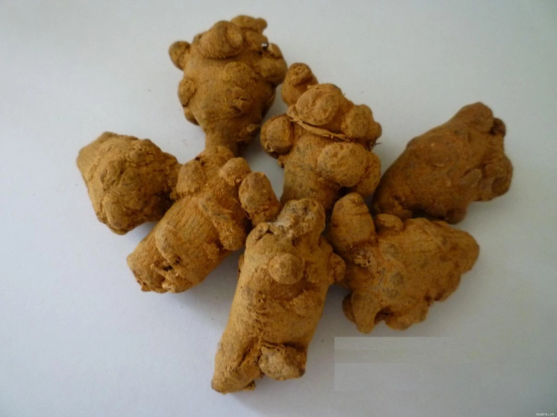 nghe-tao-nau-tam-that-bo-ba-hoan-hao-trong-viec-phong-tranh-ung-thu 2