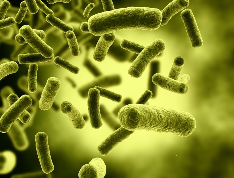 Ngộ độc e coli khi sử dụng thực phẩm có triệu chứng ra sao? Cách phòng ngừa1