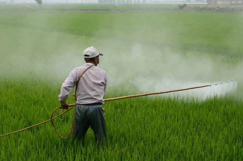 Ngộ độc glufosinate gây ra triệu chứng gì? Cách để phòng ngừa2