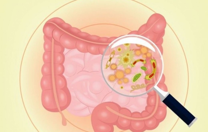 Người bị tiêu chảy nên ăn gì để nhanh khỏi? 1