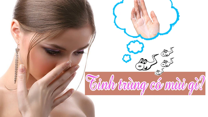 Người khỏe mạnh, tinh trùng có mùi gì? Tinh trùng khoẻ mạnh có mùi khá giống với thuốc tẩy