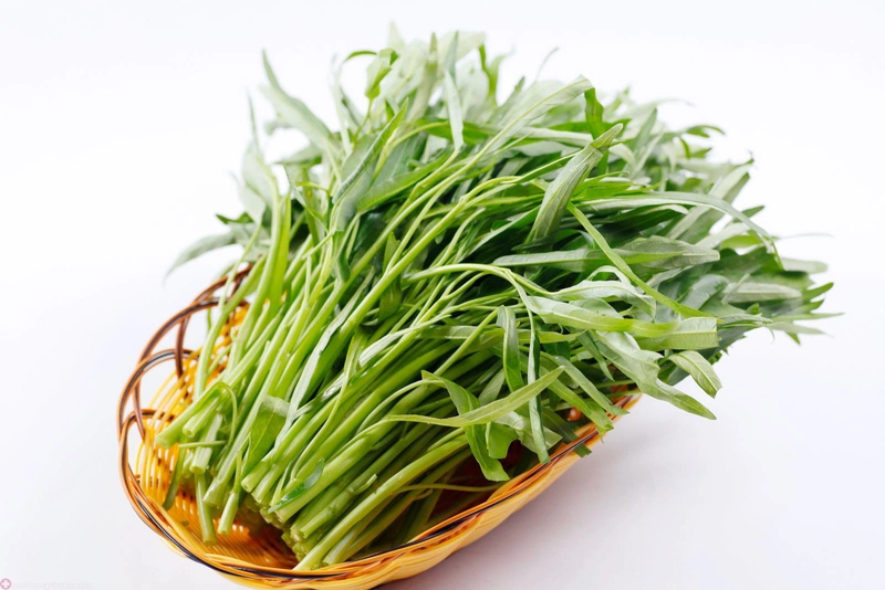 Người mắc bệnh trĩ có nên ăn rau muống không? Phương pháp điều trị bệnh trĩ từ rau muống?