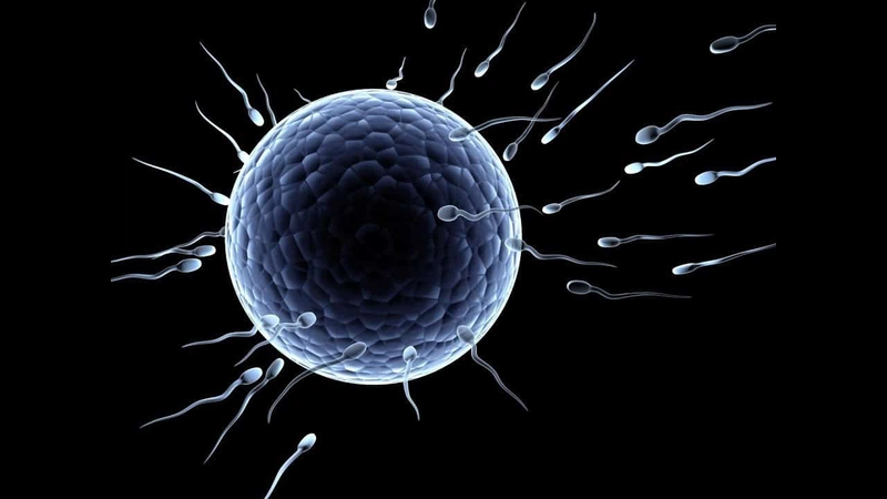 Với phương pháp thụ tinh nhân tạo đối với người nhiễm HIV, tinh dịch cần được rửa sạch