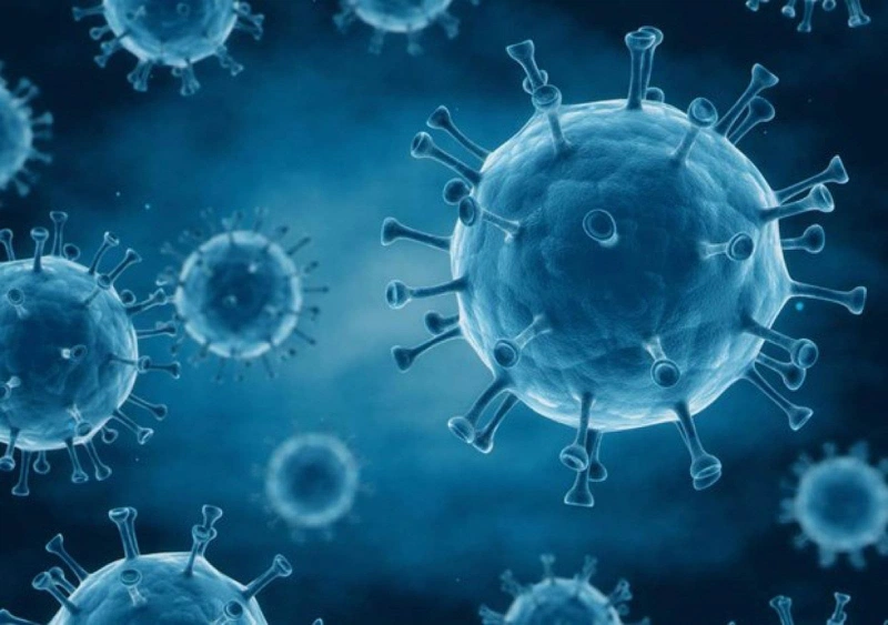 Nguồn gốc HIV từ đâu HIV xâm nhập cơ thể bằng cơ chế nào 1