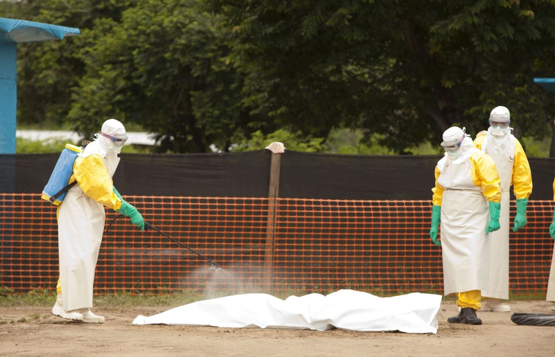 Nguyên nhân dẫn đến bệnh Ebola mà bạn cần biết 3