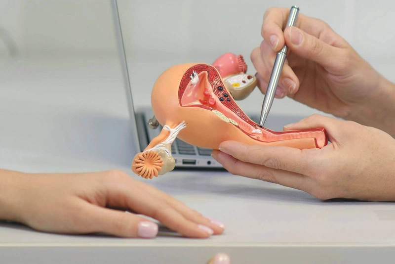 Nguyên nhân thai vào tử cung chậm và các dấu hiệu xác định thai đã vào tử cung 2