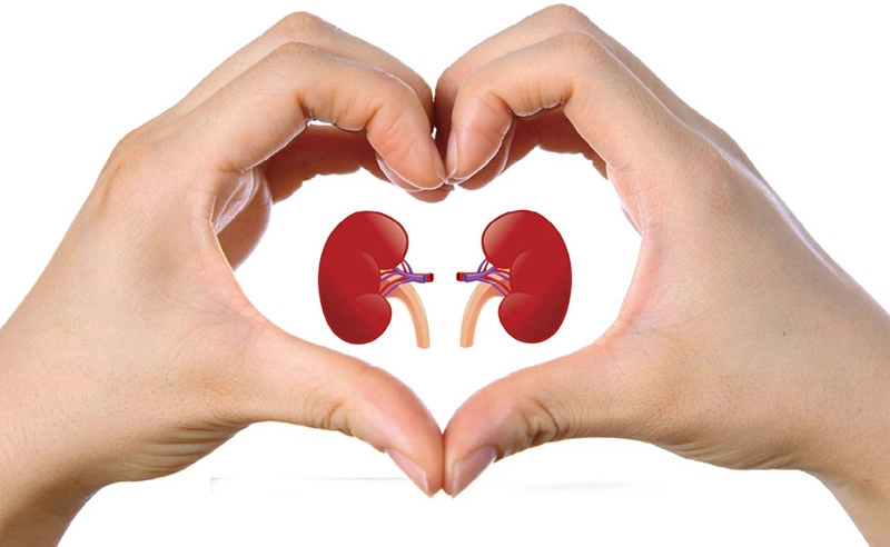 Nguyên nhân và cách điều trị của hội chứng thận hư ở trẻ em 1