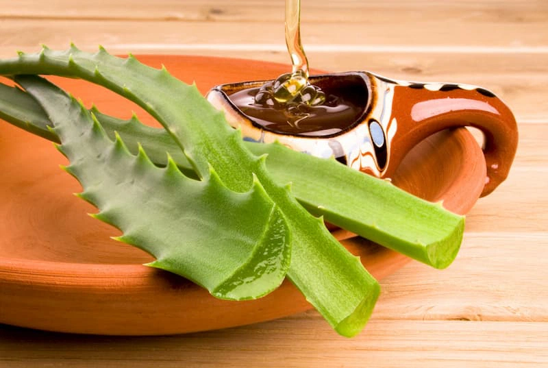 Bí quyết trị thâm vùng kín bằng nha an toàn và hiệu quả 2