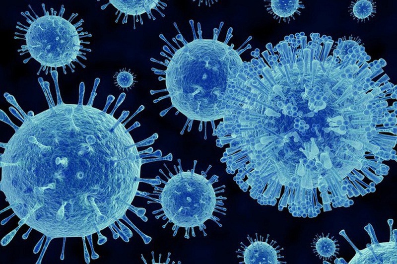 Nhà khoa học Trung Quốc phát hiện virus corona tiến hóa thành 2 chủng khác nhau 2