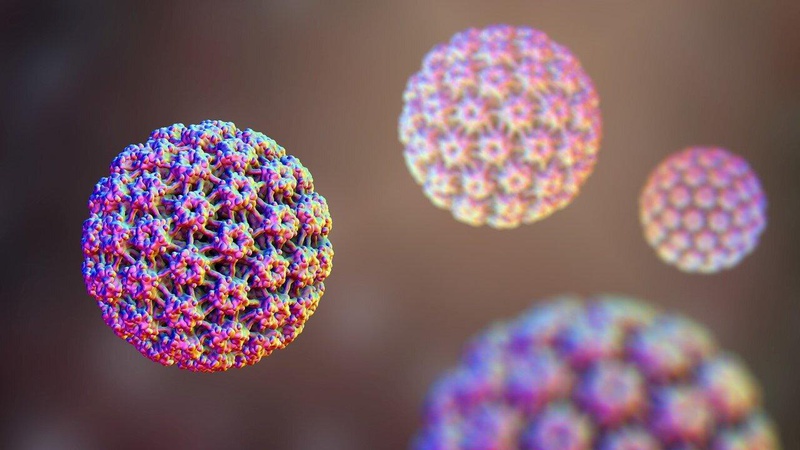 Nhận diện dấu hiệu nhiễm HPV: "Sát thủ" gây nhiều bệnh ung thư