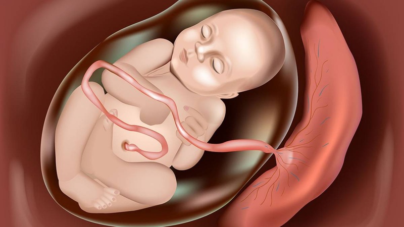 Nhau bám mặt trước là trai hay gái? Thông tin cần biết về nhau bám mặt trước 1