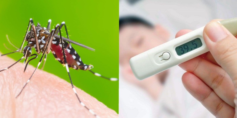 Nhiều trường hợp nguy kịch do sốt xuất huyết tại TP.HCM3