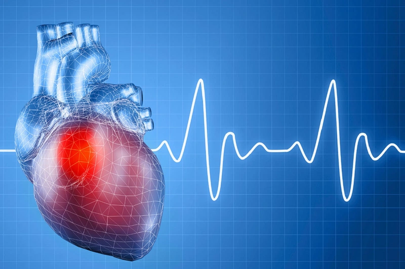 Nhịp tim là một trong những dấu hiệu quan trọng nhất về sức khỏe của cơ thể