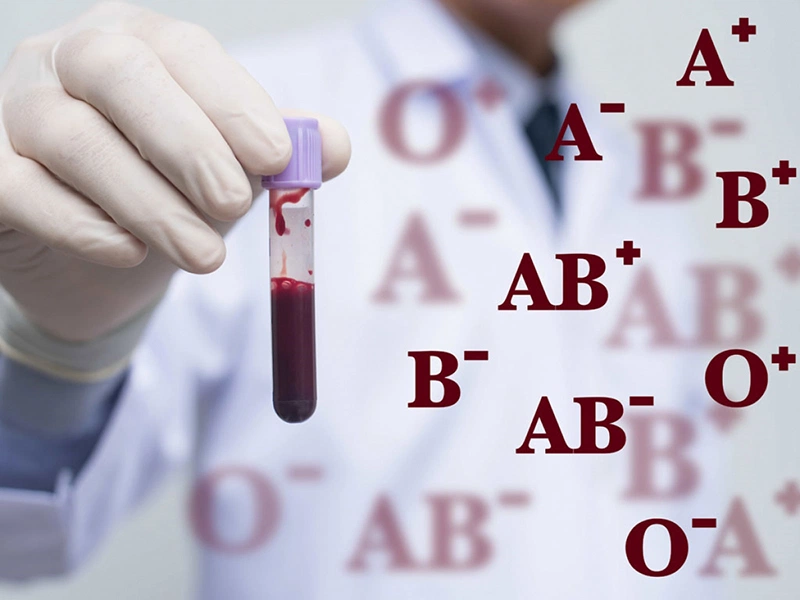 Nhóm máu B là nhóm máu vừa nhận vừa cho