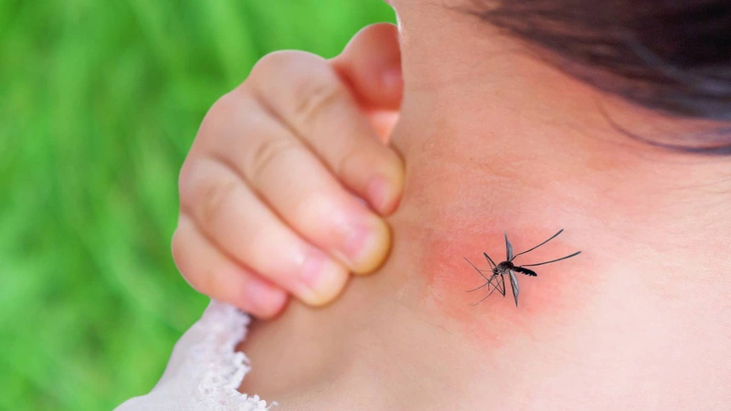 nhóm máu nào hay bị muỗi đốt 5