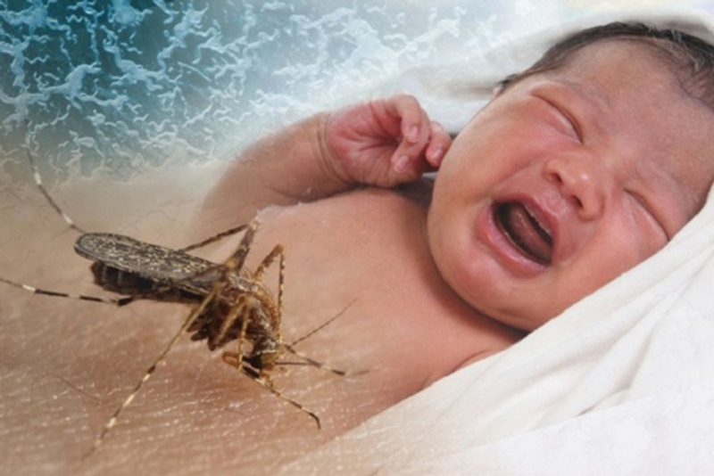 Nhóm máu nào hay bị muỗi đốt nhất