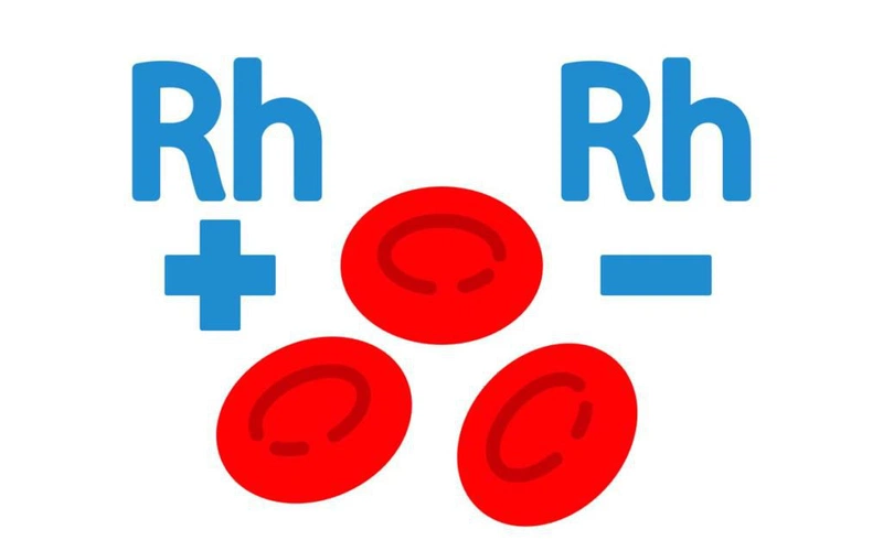 Nhóm máu O Rh+ là gì?