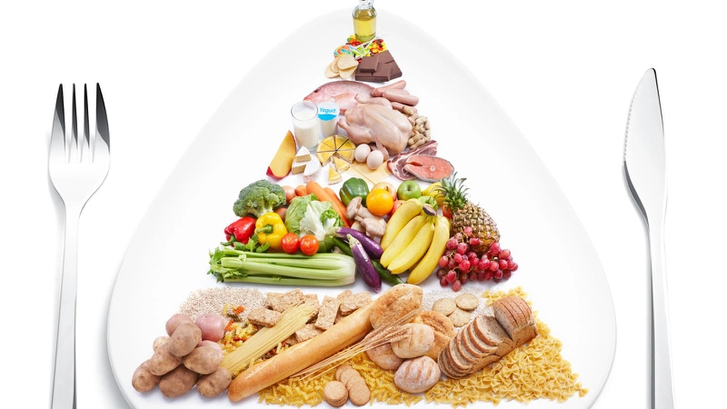 Tháp dinh dưỡng cân đối được chia thành 5 nhóm thực phẩm chính