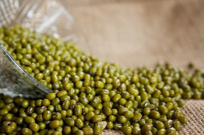 Những bài thuốc điều trị gout bằng Đông y an toàn hiệu quả 3