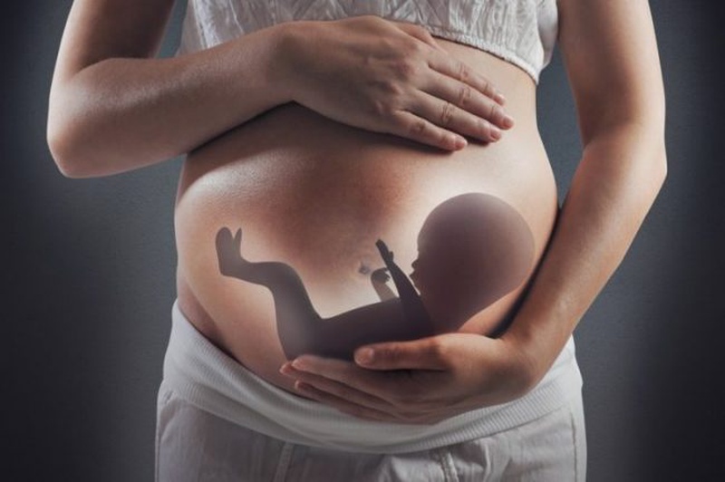 Những bất thường của thai nhi trong thời gian mang thai 1