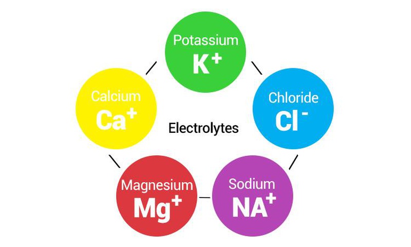 Chất điện giải giúp cân bằng nội mô, độ pH trong máu