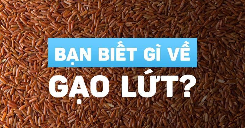 Gạo lức hay gạo lứt