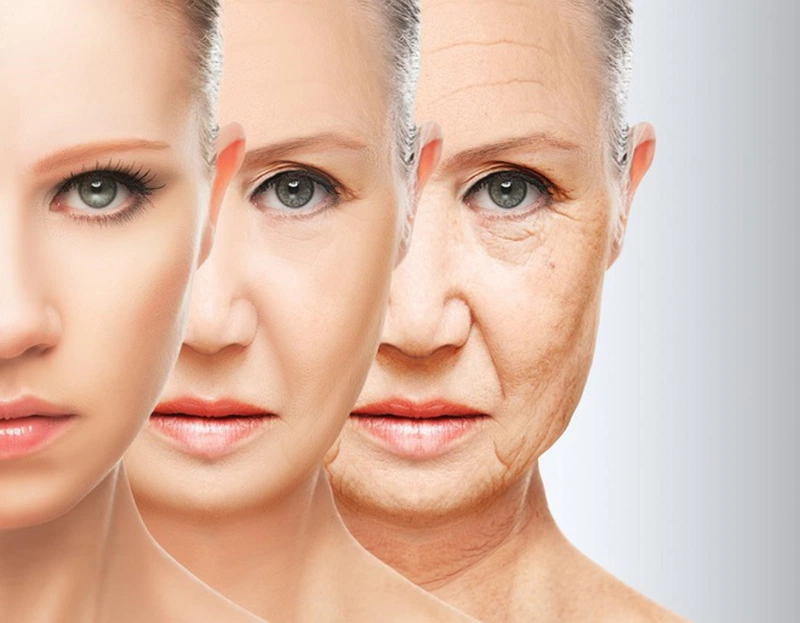 Những công dụng tuyệt vời của trứng cút có thể bạn chưa biết 3