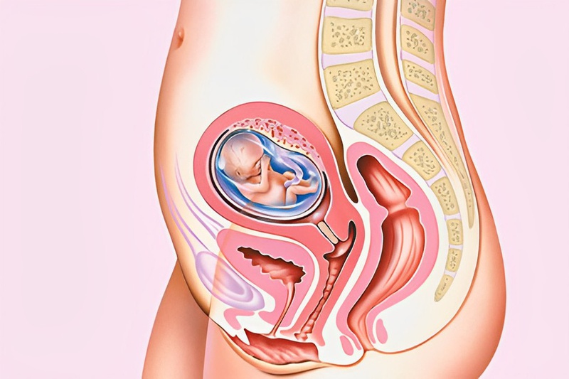 Những điều quan trọng thai phụ cần biết về khâu vòng cổ tử cung 1