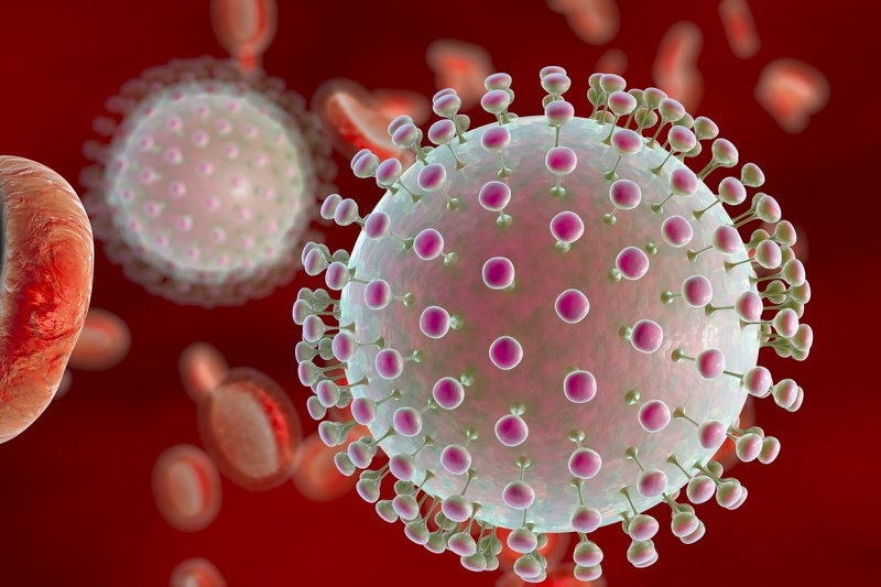 Những khả năng gây bệnh của virus viêm não Nhật Bản 1