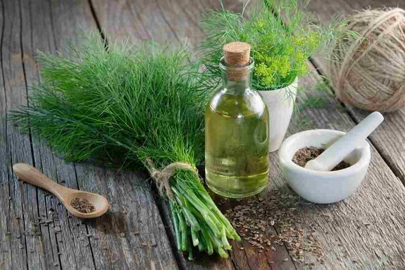 Những loại trà cho bà bầu nào nên dùng? 4