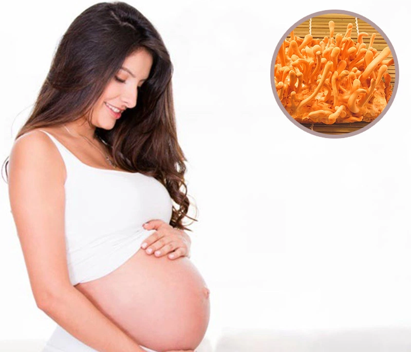 Những tác dụng của đông trùng hạ thảo với phụ nữ 1
