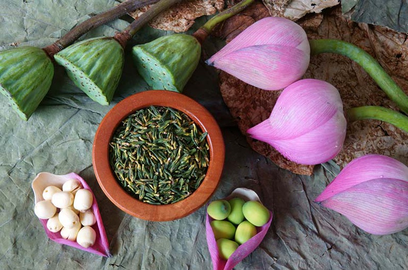 Những tác dụng khi uống tâm sen với cam thảo1