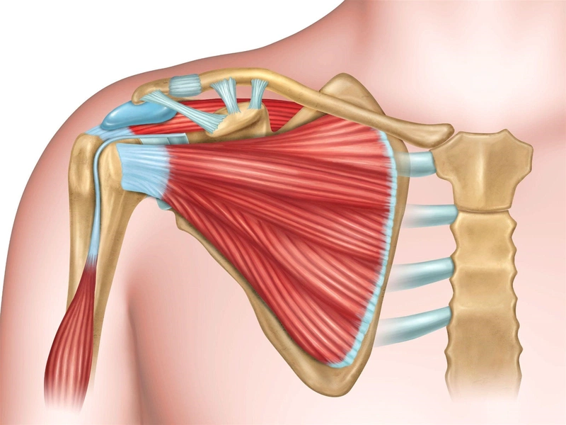 Những thông tin cần biết về chứng viêm khớp vai tràn dịch1